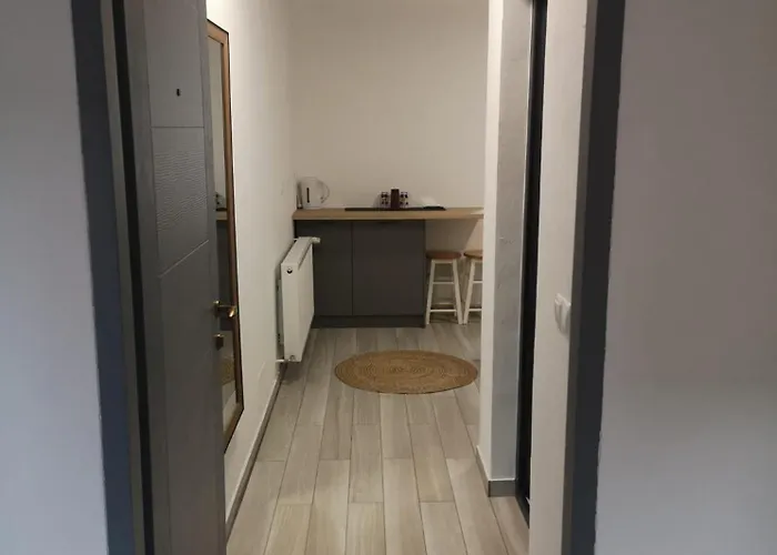 Vrabiilor New 1 Bedroom Apartament Cluj-Napoca